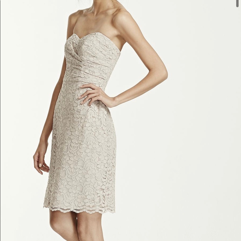 David’s Bridal Silver Lace Dress - F15620
